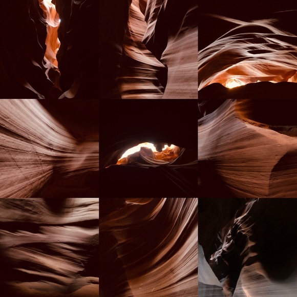 Meet your Posher, Bernrowe - Picture 2 of 2